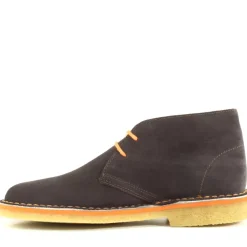 Stringata Pollack Marrone, Testa Di Moro
